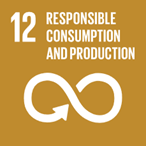 SDG 12 - Responsible Consumption & Production